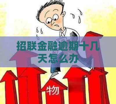 招联金融逾期十几天怎么办