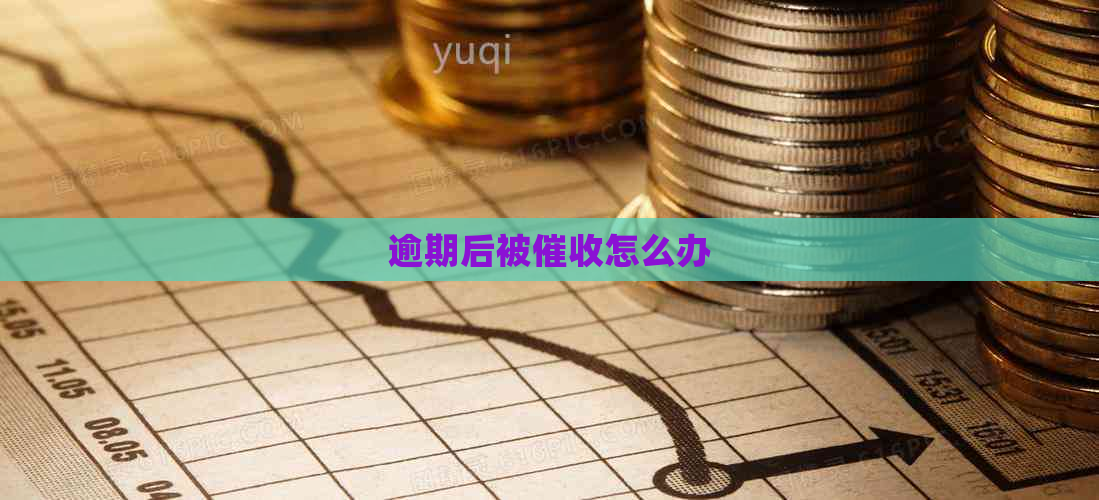 逾期后被怎么办