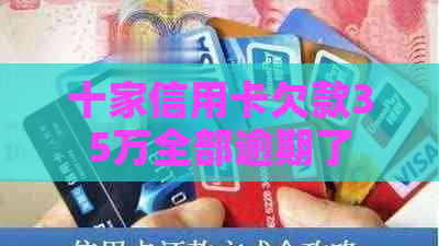 十家信用卡欠款35万全部逾期了