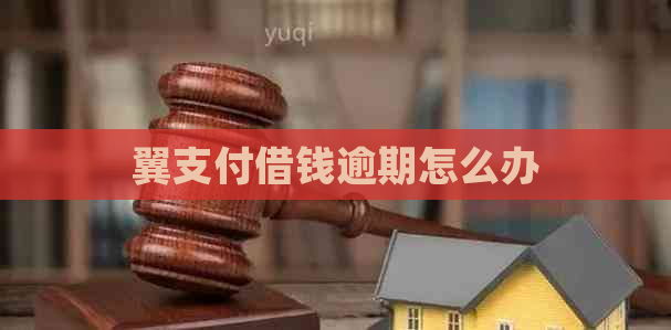 翼支付借钱逾期怎么办