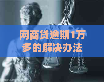 网贷逾期1万多的解决办法