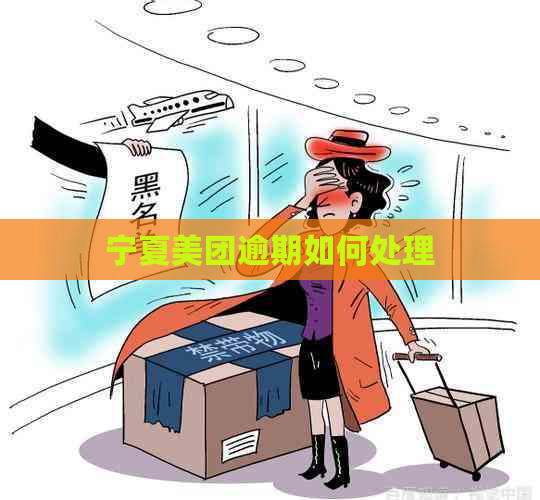 宁夏美团逾期如何处理