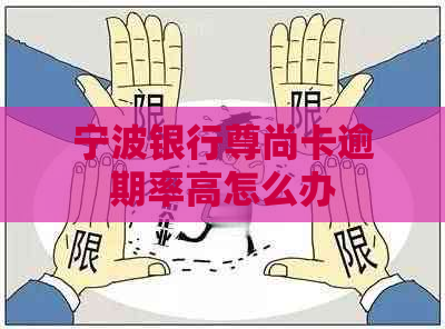 宁波银行尊尚卡逾期率高怎么办