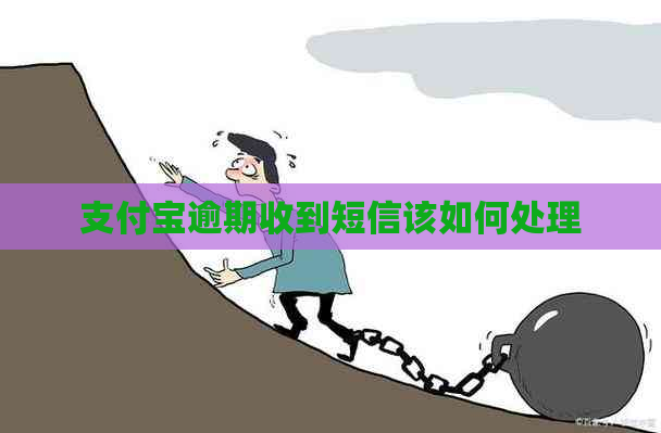 支付宝逾期收到短信该如何处理