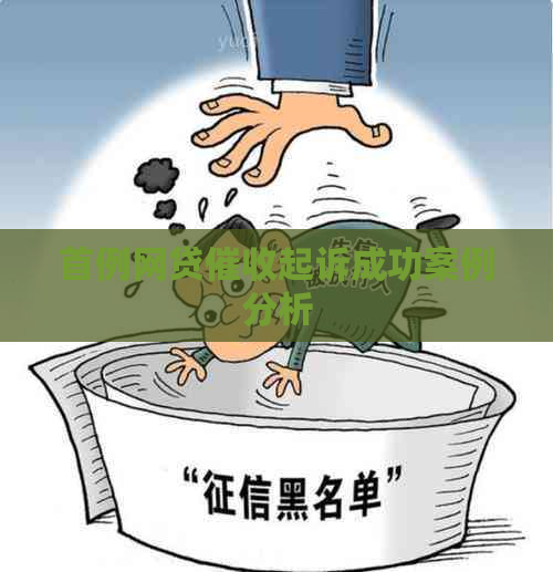 首例网贷起诉成功案例分析