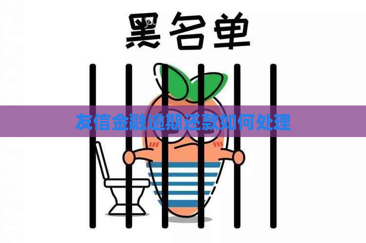 友信金融逾期还款如何处理