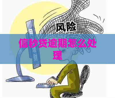 信秒贷逾期怎么处理