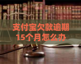 支付宝欠款逾期15个月怎么办