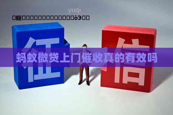 蚂蚁微贷上门真的有效吗