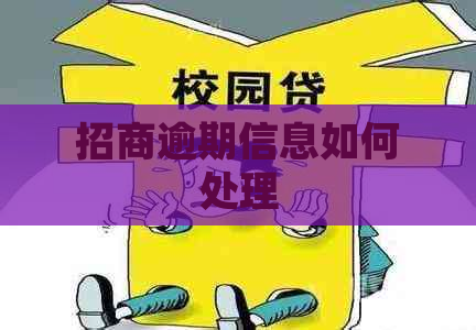 招商逾期信息如何处理