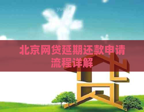 北京网贷延期还款申请流程详解