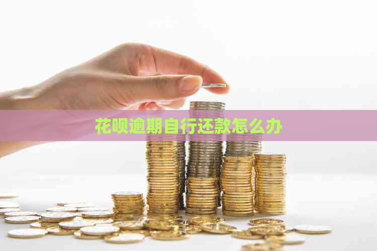 花呗逾期自行还款怎么办