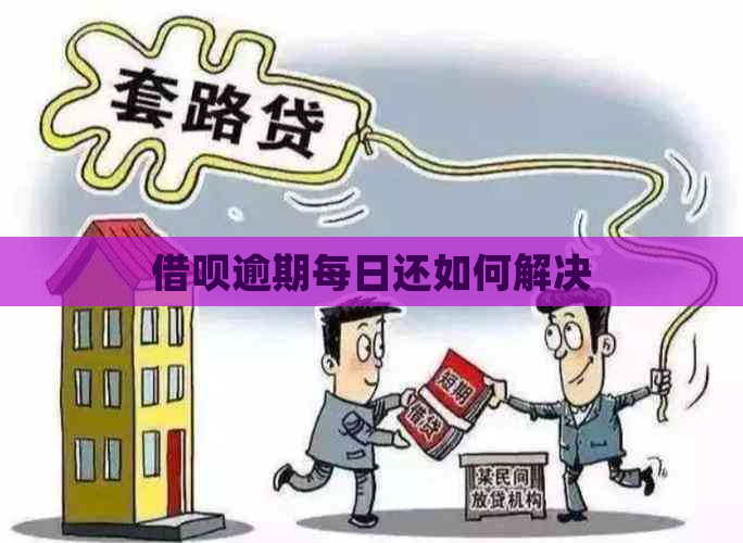 网贷逾期每日还如何解决