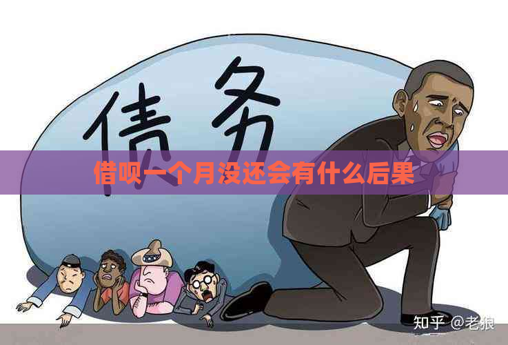 网贷一个月没还会有什么后果