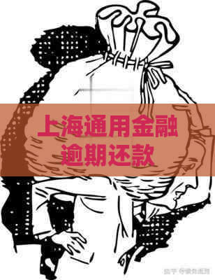 上海通用金融逾期还款