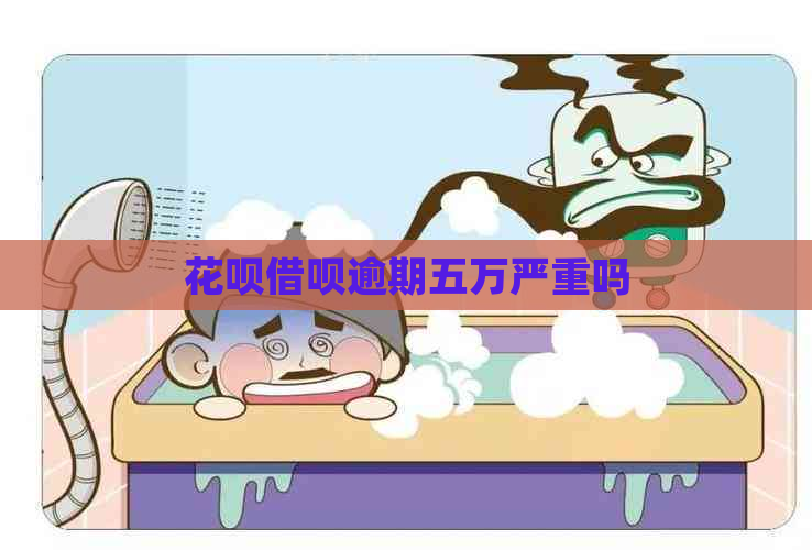 信用卡网贷逾期五万严重吗