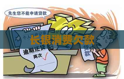 长银消费欠款