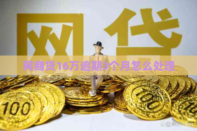 网贷16万逾期3个月怎么处理