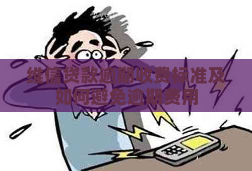 维信贷款逾期收费标准及如何避免逾期费用