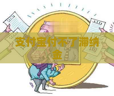 支付宝付不了滞纳金