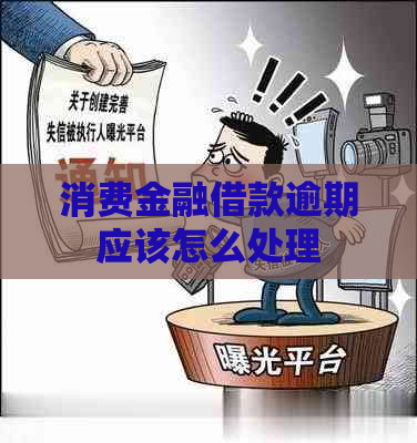 消费金融借款逾期应该怎么处理