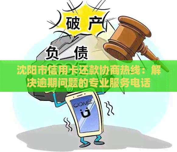 沈阳市信用卡还款协商热线：解决逾期问题的专业服务电话