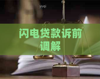 闪电贷款诉前调解