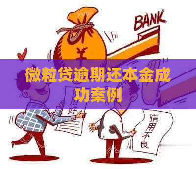 微粒贷逾期还本金成功案例