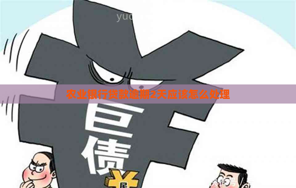 农业银行贷款逾期2天应该怎么处理