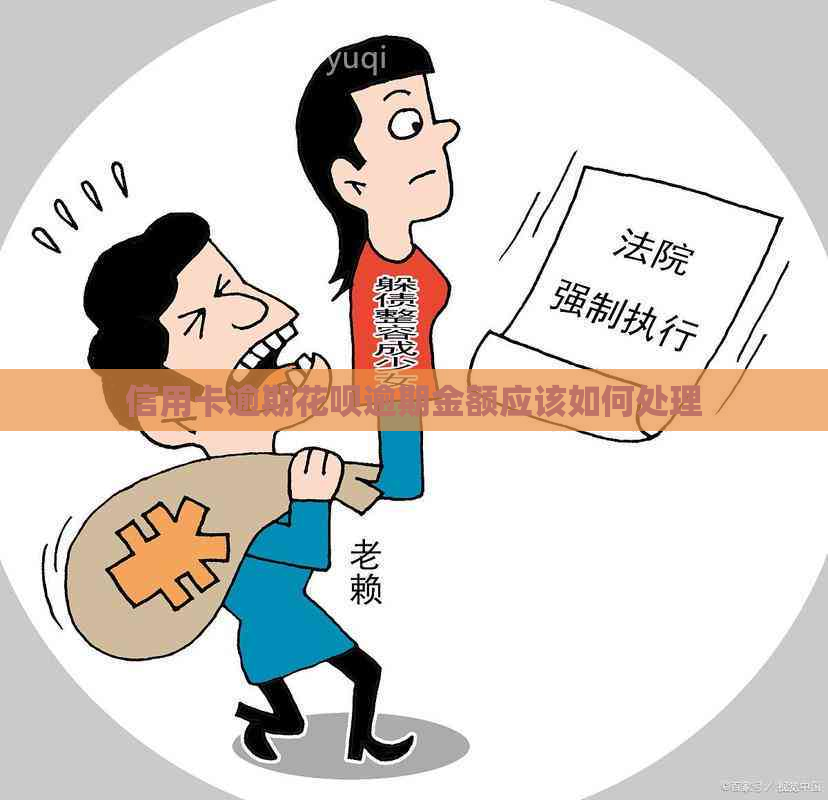 信用卡逾期信用卡逾期金额应该如何处理