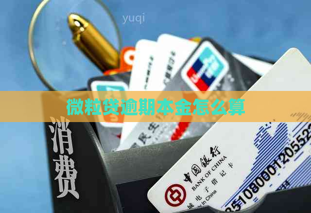 微粒贷逾期本金怎么算