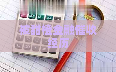 被甜橙金融经历