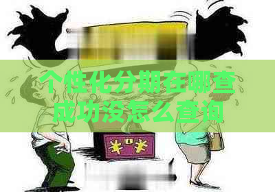 个性化分期在哪查成功没怎么查询