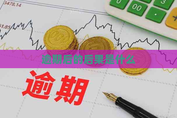 逾期后的后果是什么