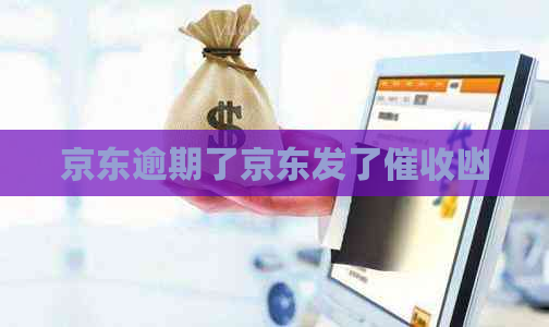 京东逾期了京东发了凼