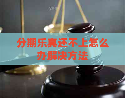 真还不上怎么办解决方法