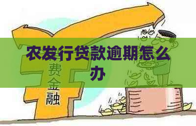 农发行贷款逾期怎么办