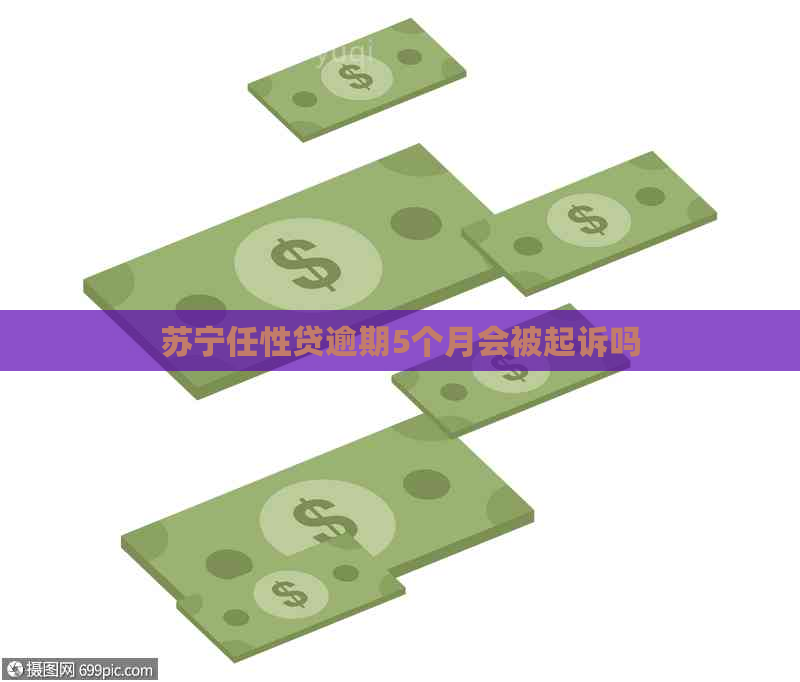 苏宁任性贷逾期5个月会被起诉吗