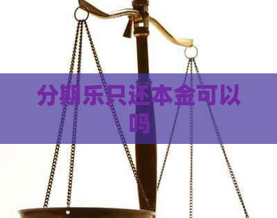 只还本金可以吗