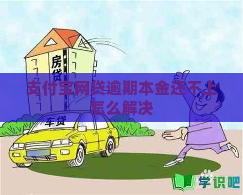支付宝网贷逾期本金还不上怎么解决
