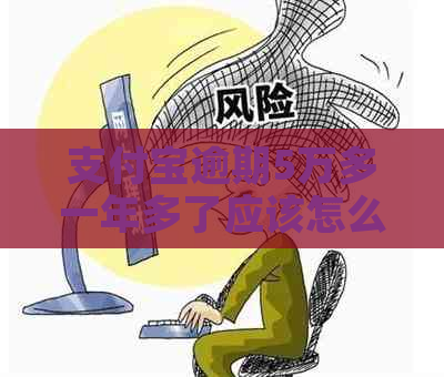 支付宝逾期5万多一年多了应该怎么办