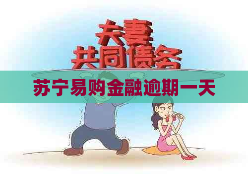 苏宁易购金融逾期一天