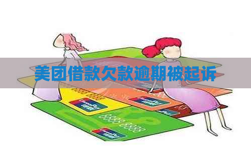 美团借款欠款逾期被起诉