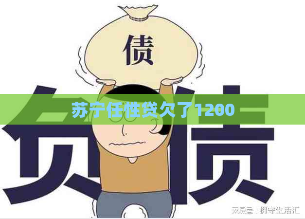 苏宁任性贷欠了1200