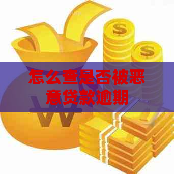 怎么查是否被恶意贷款逾期