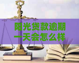 阳光贷款逾期一天会怎么样影响个人信用