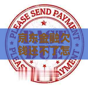 京东金融欠钱还不了怎么办