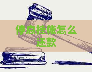 停息挂帐怎么还款