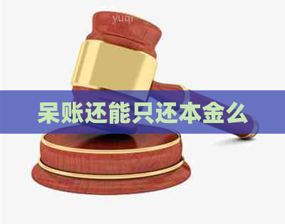 呆账还能只还本金么