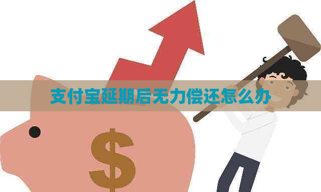 支付宝延期后无力偿还怎么办